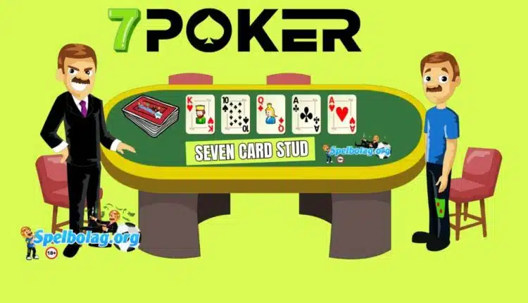 seven card stud pokerbord