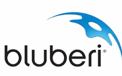 bllueberi-logo